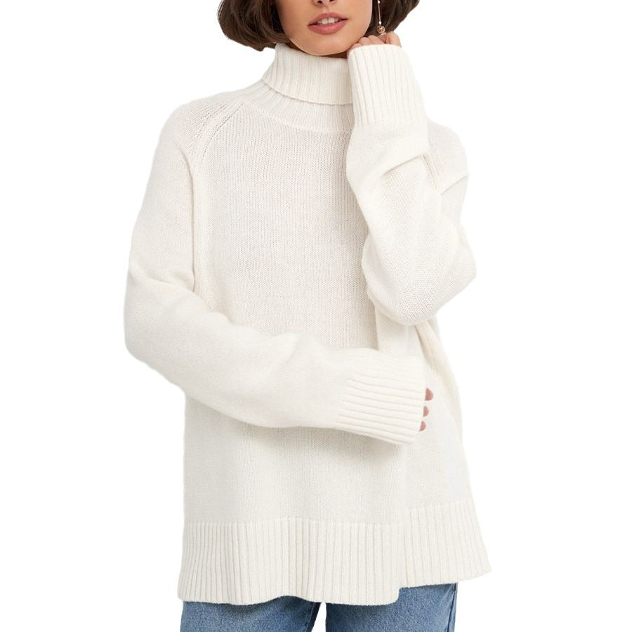 Elegant Commuter's All-matching Solid Color Raglan Sleeve Sweater For Women